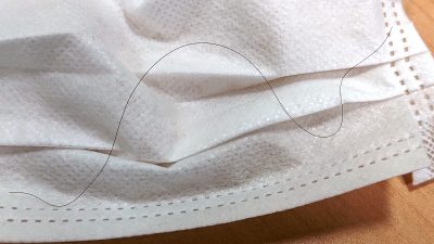 髪の毛でした