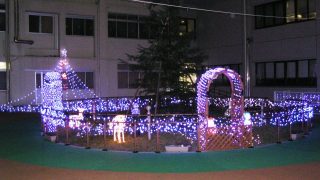 中庭がクリスマスモード｜大垣市民病院